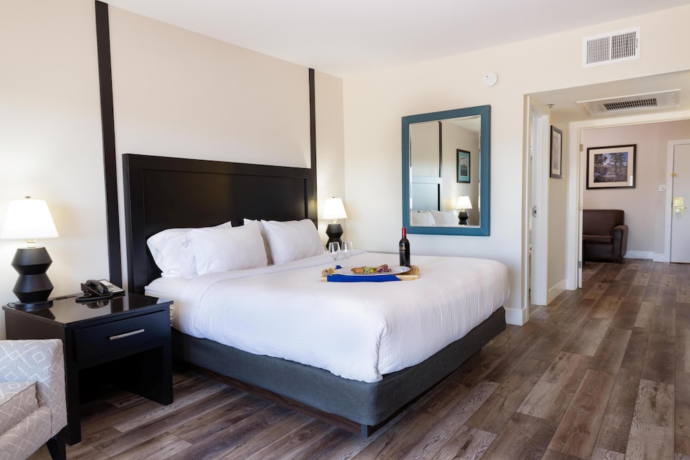 Premium Suite, 1 King Bed photo 1