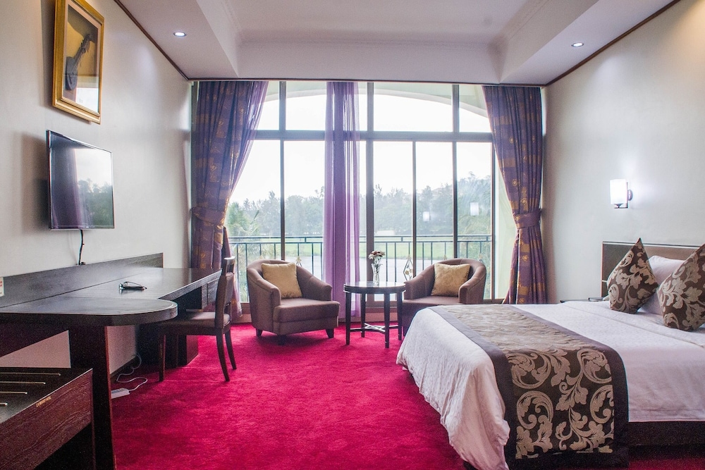 Deluxe Double or Twin Room photo 3