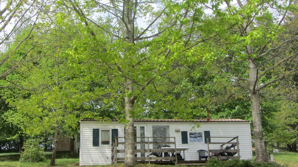 Mobile Home photo 2