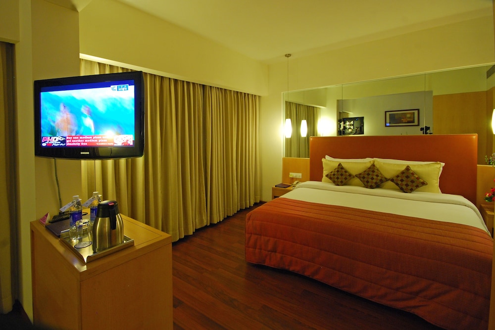 Suite - Photo 4