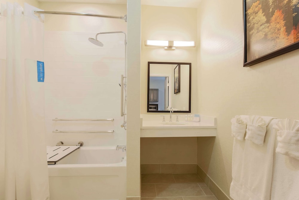Studio, 1 King Bed, Accessible, Bathtub - Photo 5