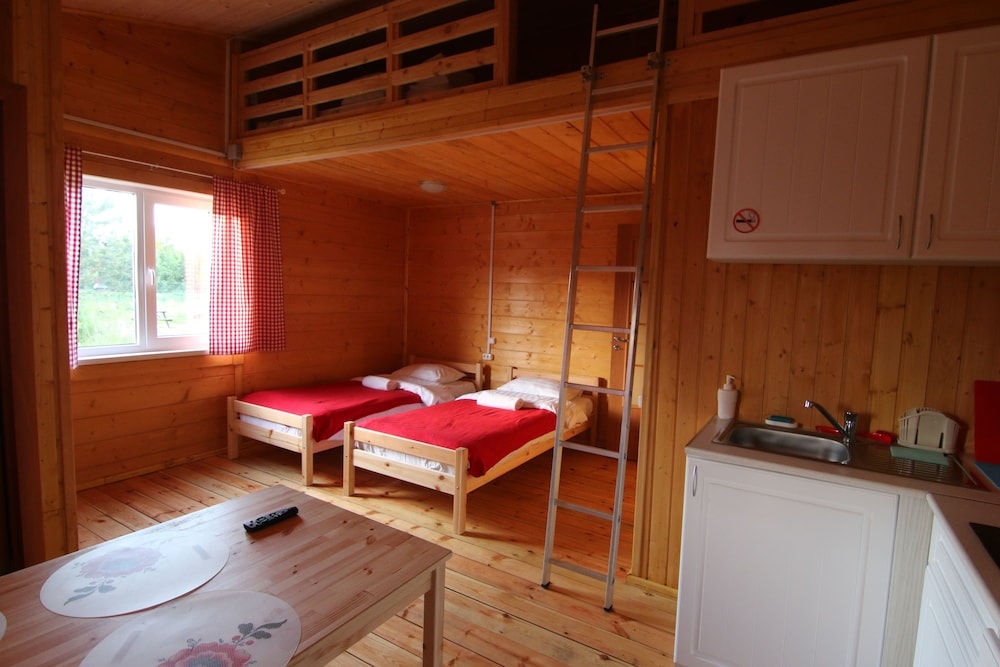 Basic Studio, Multiple Beds, Kitchen photo 1