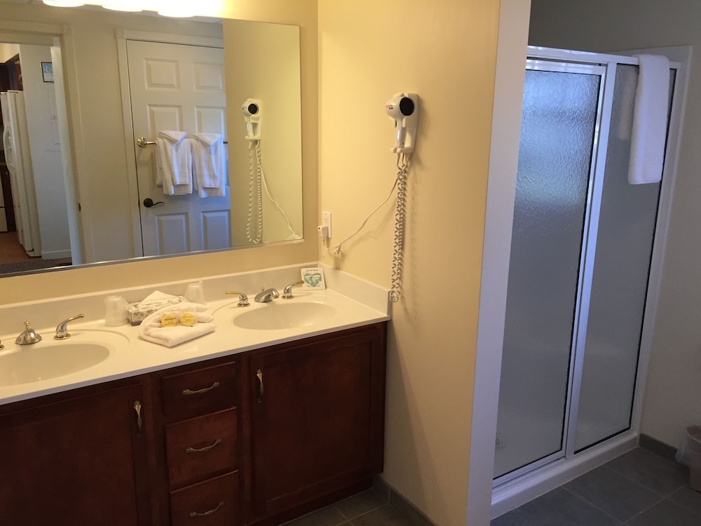 Suite, 1 Bedroom photo 3