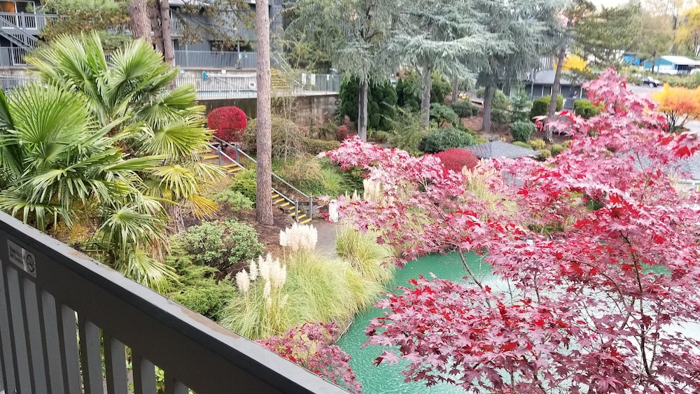 Suite, 1 King Bed, Balcony, Courtyard View - Photo 5