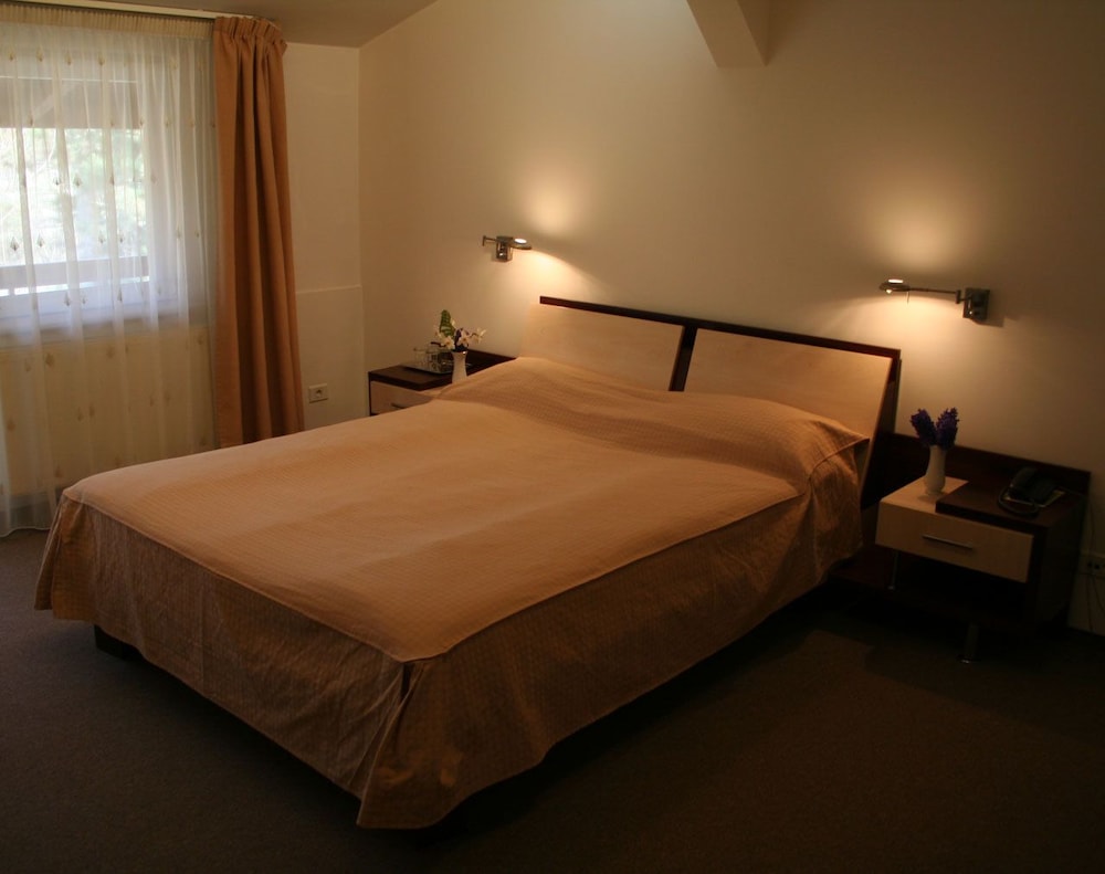 Standard Double Room, 1 Bedroom photo 1