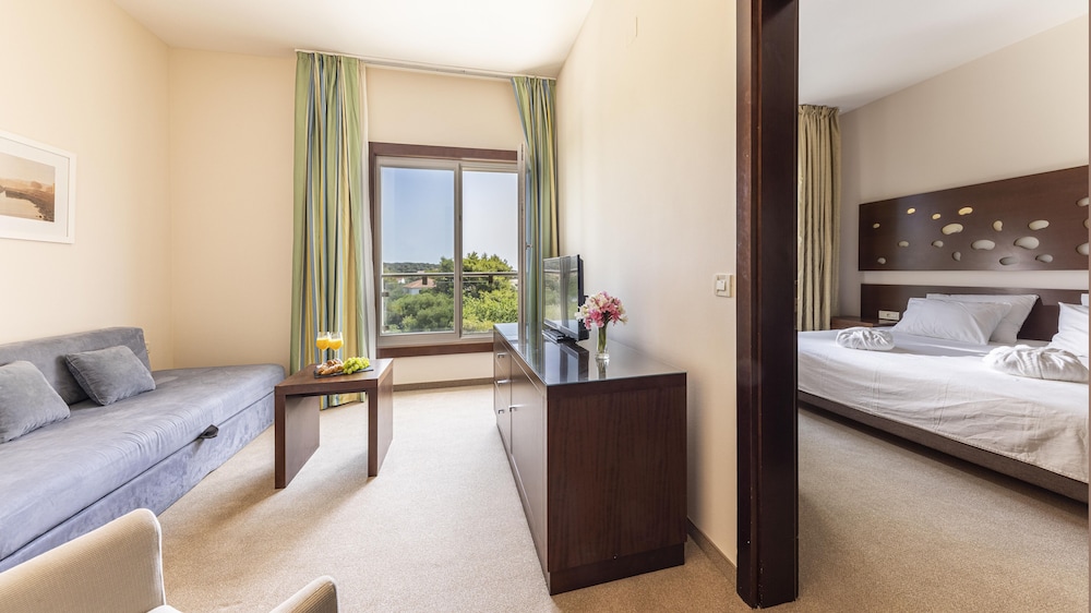 Family Room, 1 Bedroom, Balcony, Park View photo 1
