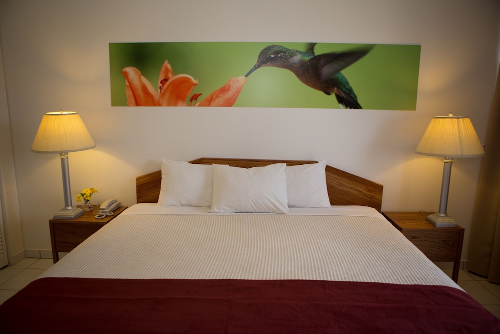 Standard Room, 1 King Bed photo 1