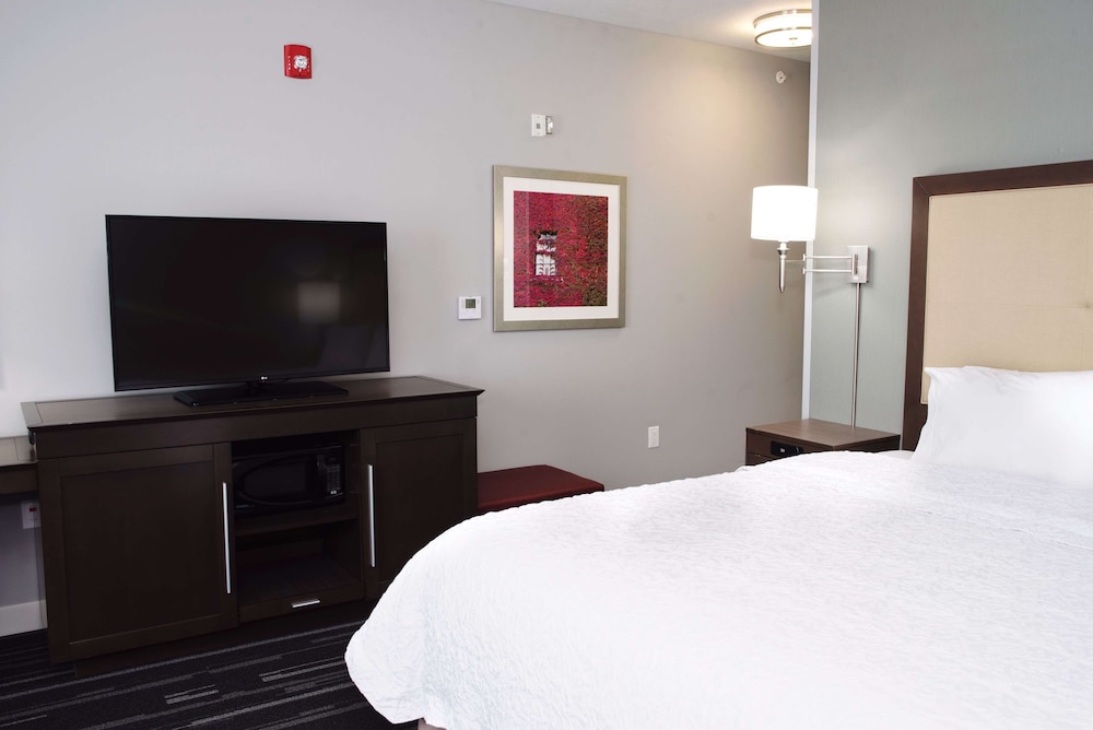 Room, 1 King Bed, Accessible, Bathtub photo 3
