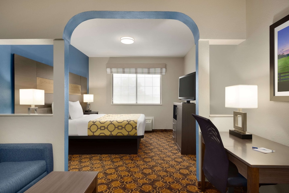 Suite, 1 Queen Bed photo 1