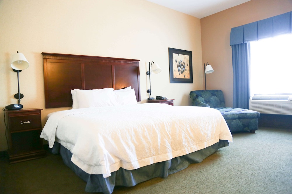 Room, 1 King Bed, Accessible, Non Smoking - Photo 1