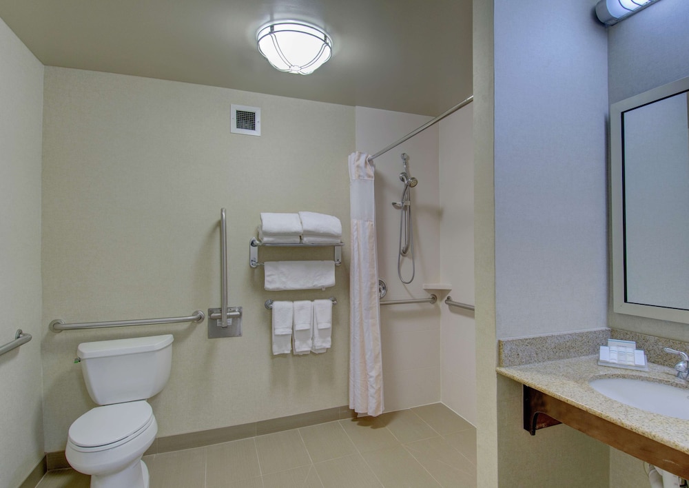 Room, 1 King Bed, Accessible - Photo 4