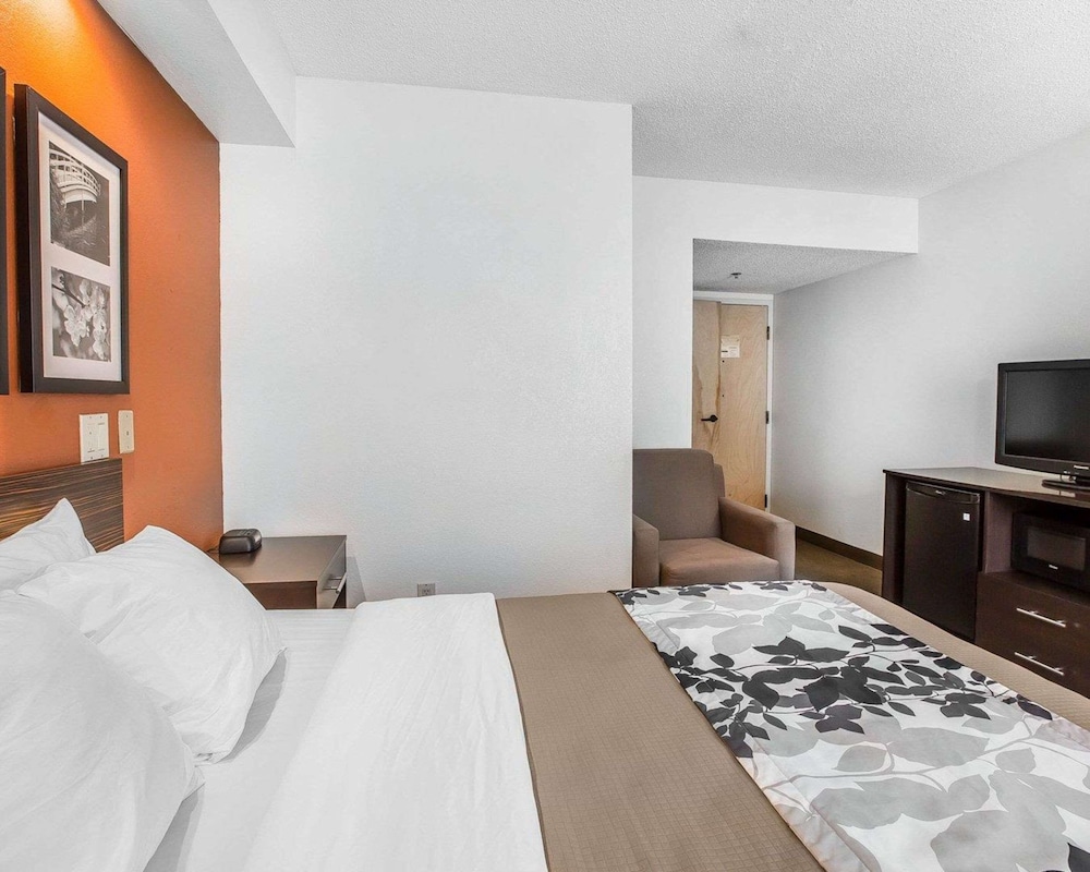 Room, 1 Queen Bed, Accessible, Non Smoking - Photo 3