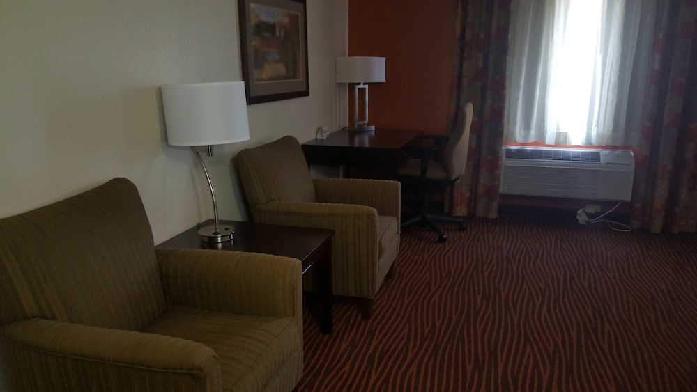 Room, 1 King Bed, Non Smoking (Full Kitchenette) - Photo 3