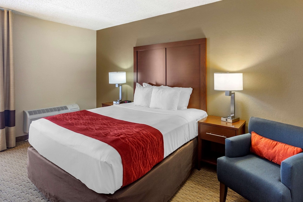 Standard Room, 1 Queen Bed, Non Smoking photo 1