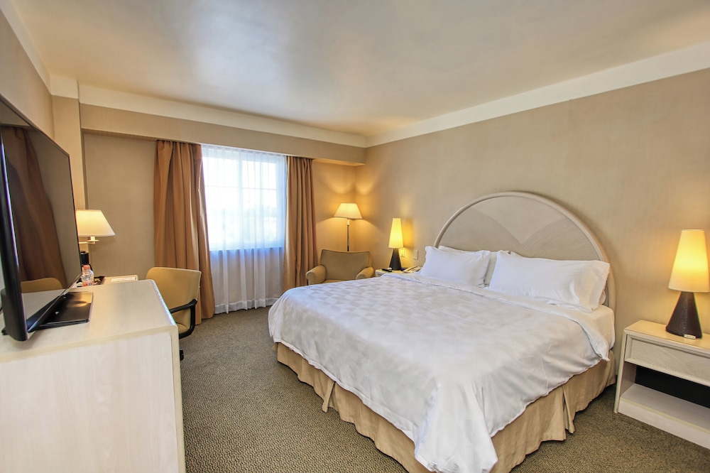 Standard Room, 1 King Bed - Photo 4