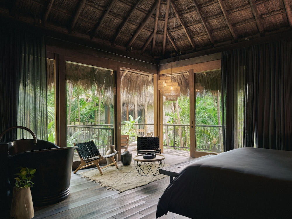 Suite (Palm Suite)