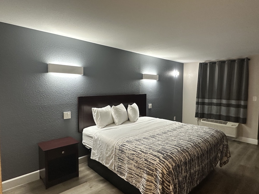 Deluxe Single Room, 1 King Bed, Non Smoking - Photo 1