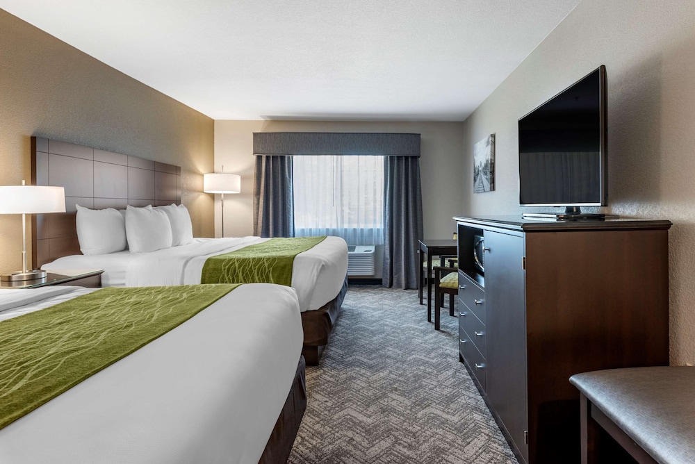 Room, Multiple Beds, Non Smoking - Photo 4