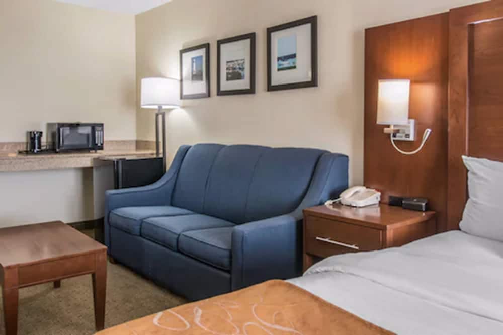 Comfort Suites Wixom - Novi, Billede 4