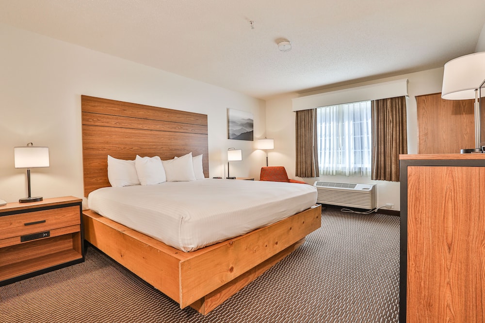 Standard Room, 1 King Bed, Accessible, Non Smoking photo 1