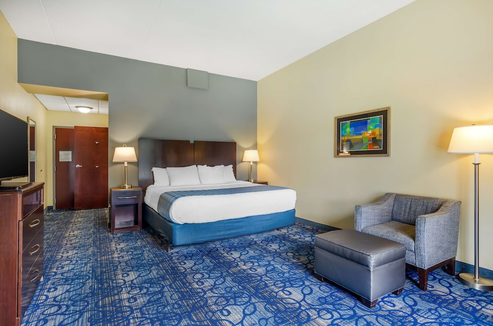 Standard Room, 1 King Bed, Accessible, Non Smoking - Photo 1