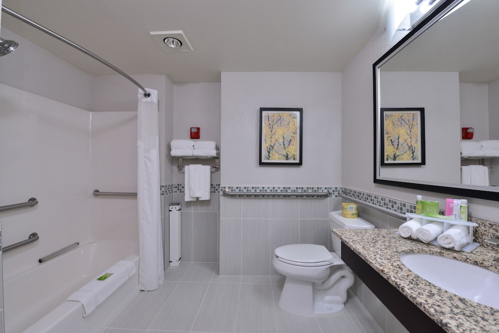 Suite, 1 King Bed, Accessible Bathtub (Communications, Accessible Tub) - Photo 6