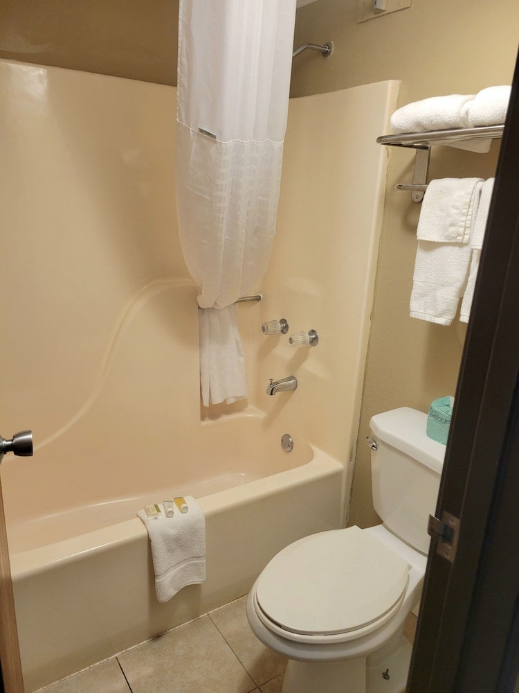 Studio Suite, 1 King Bed, Non Smoking photo 2