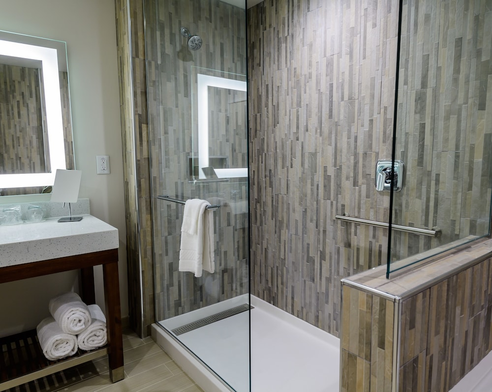 Room, 1 King Bed with Sofa bed (Mobility Accessible, Roll-In Shower)