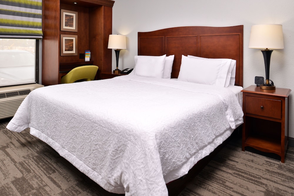 Comfort Room, 1 King Bed photo 2
