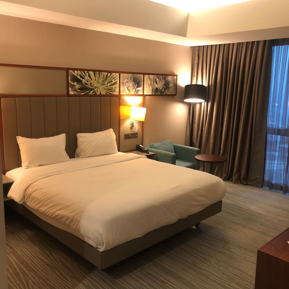 Room, 1 King Bed, Accessible photo 3