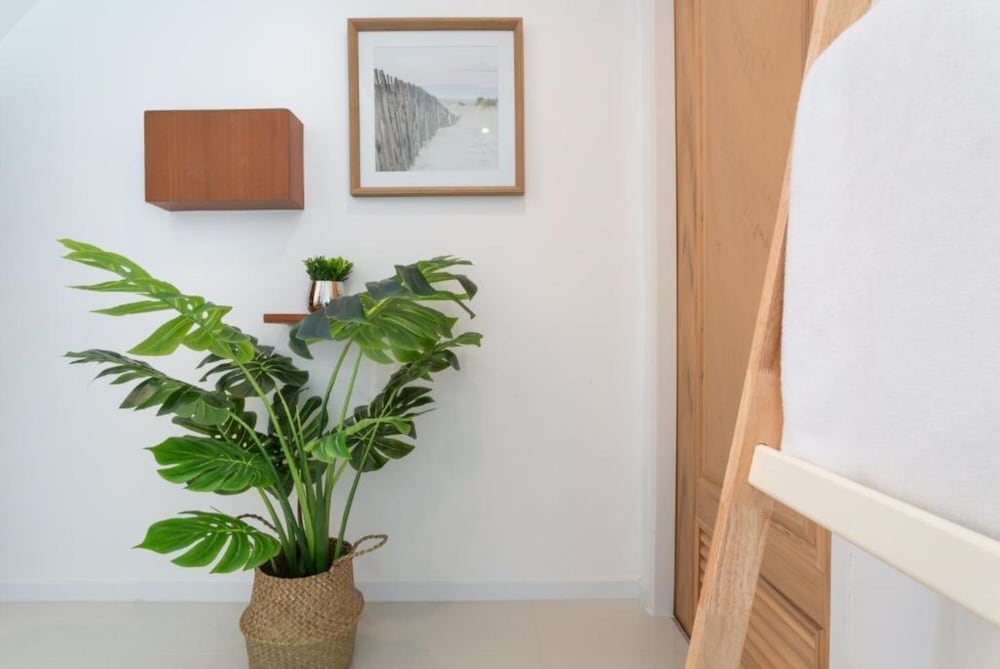 Standard Duplex - Photo 8