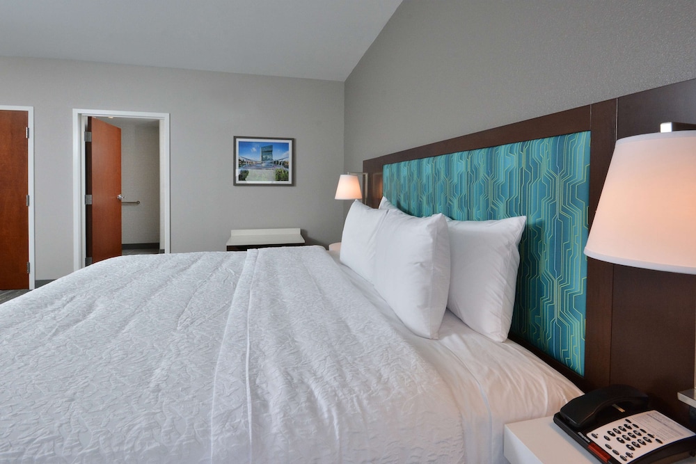Suite, 1 King Bed, Accessible, Refrigerator & Microwave - Photo 8
