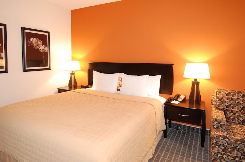 Standard Room, 1 King Bed, Non Smoking photo 1
