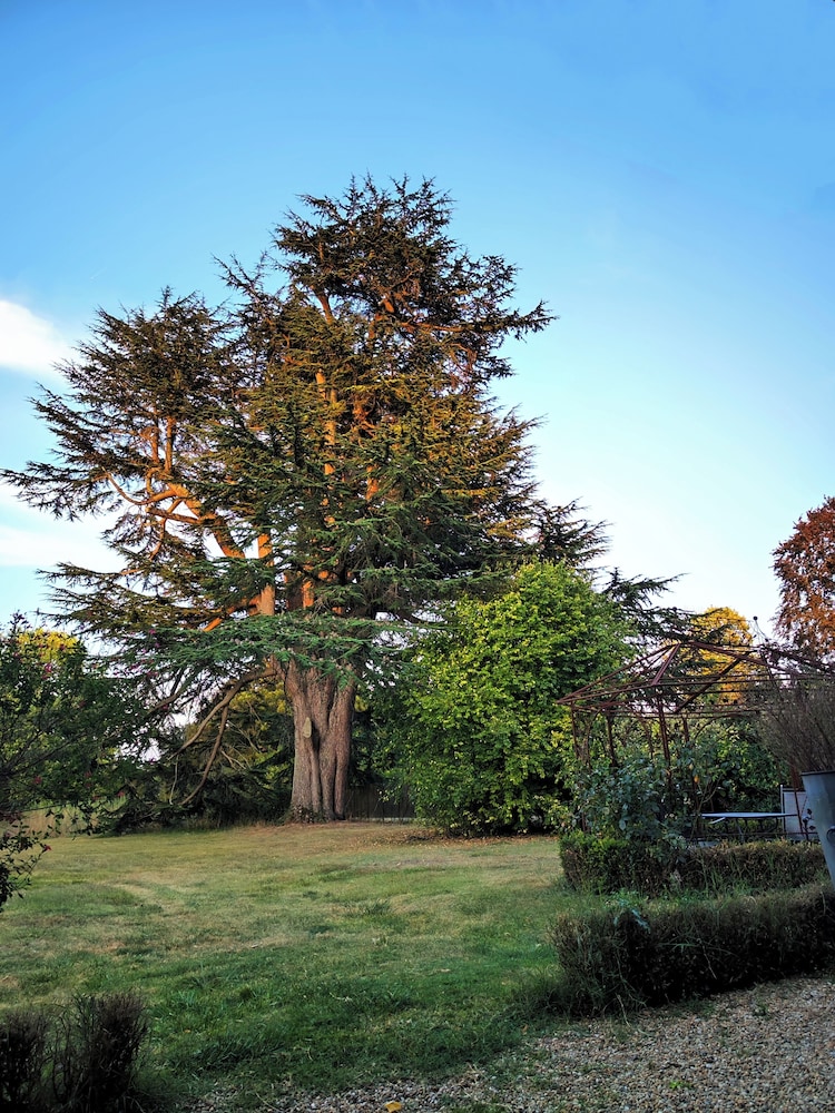 Standard Double Room, Garden Area photo 3