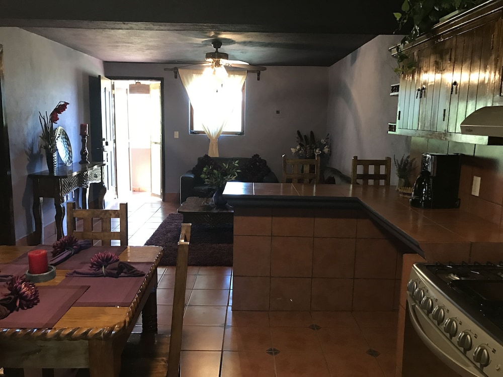 Premium Apartment, 2 Bedrooms, Kitchen, Courtyard Area photo 3