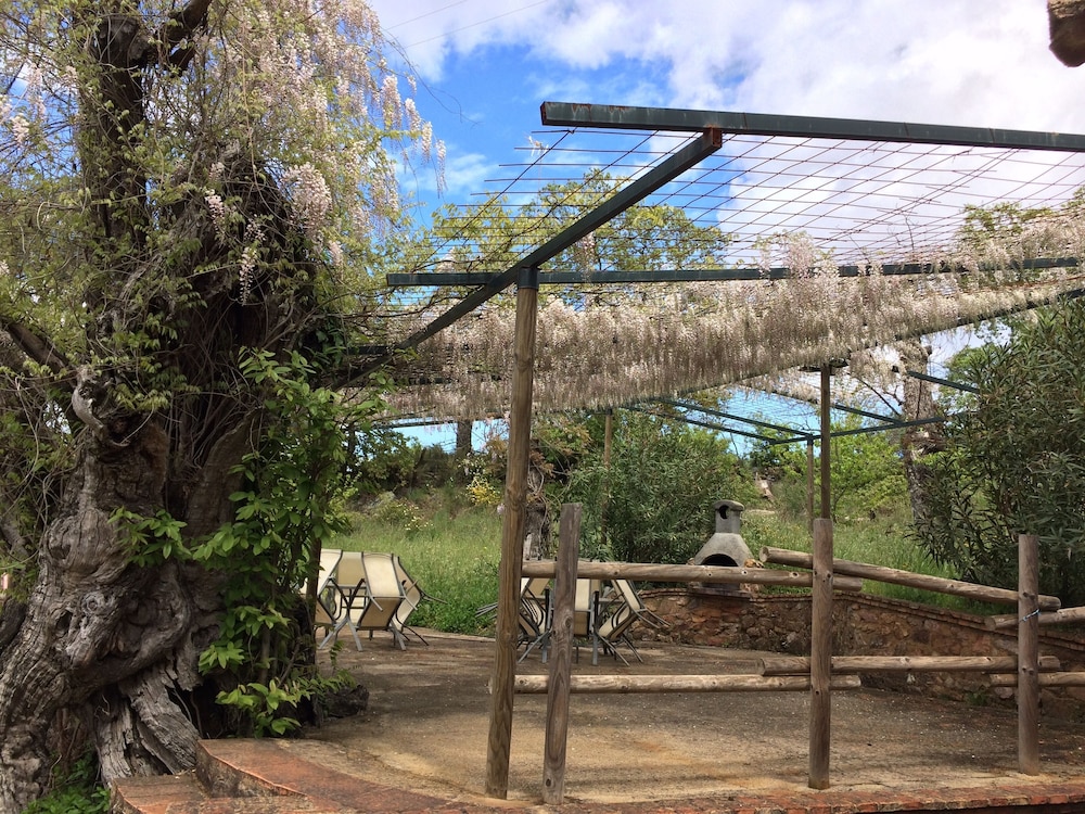 Casas Rurali Finca El Tornero, Foto 7