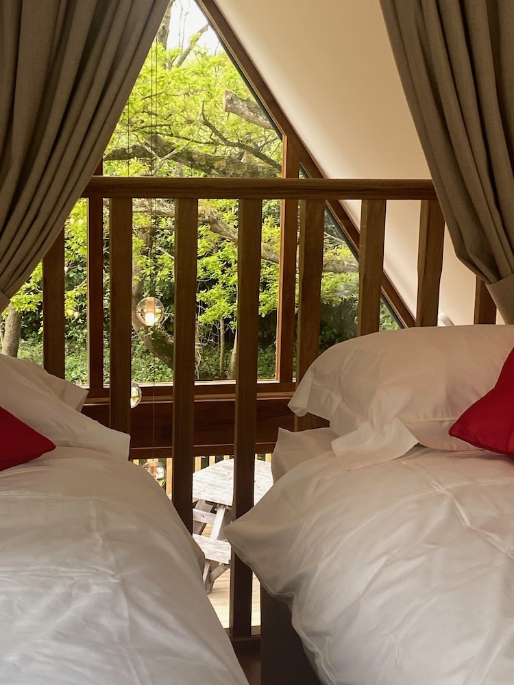 Luxury Cabin, Accessible, Ensuite (Avalon Waterside Lodge) photo 2