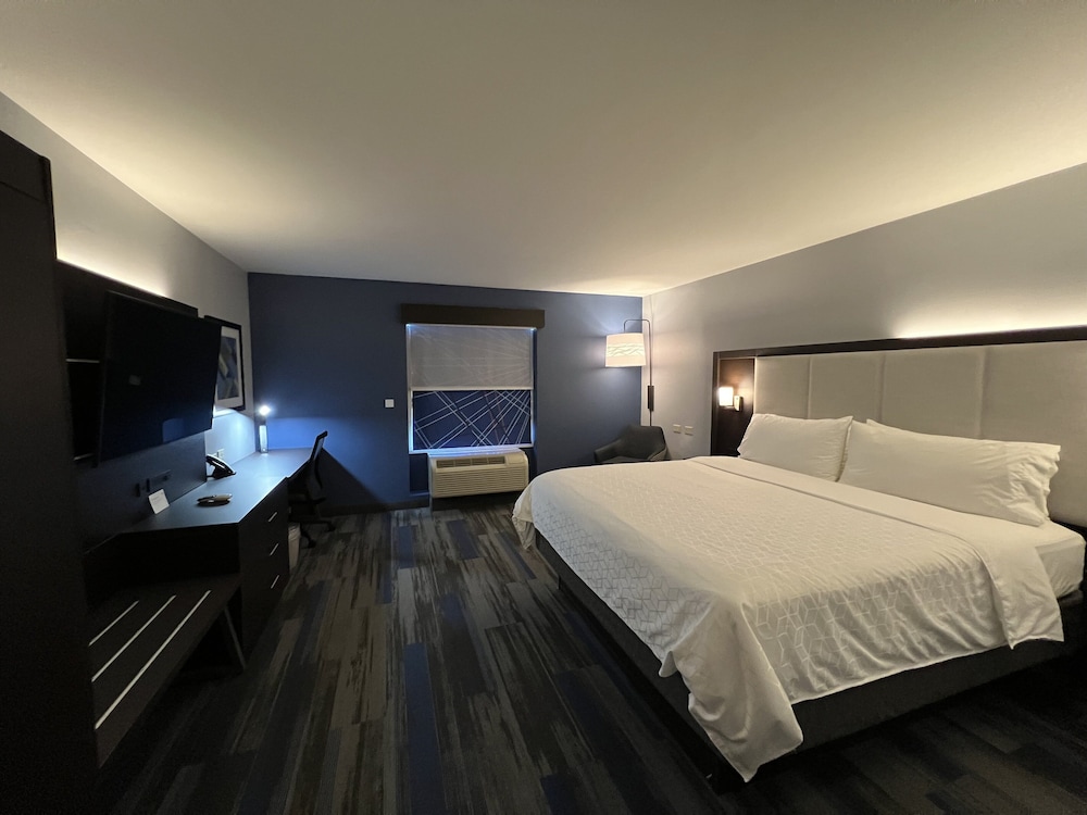 Suite, 1 King Bed with Sofa bed - Photo 1