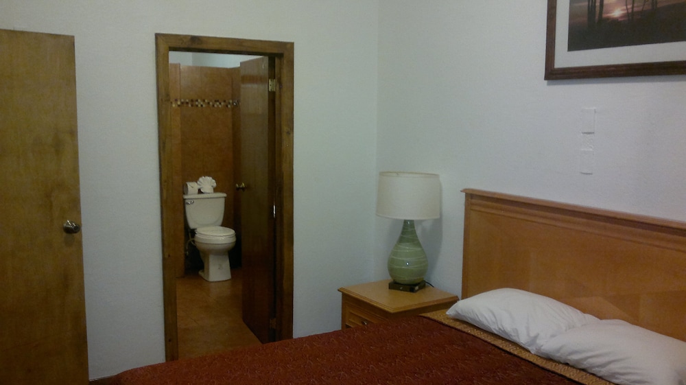 Junior Studio Suite photo 1