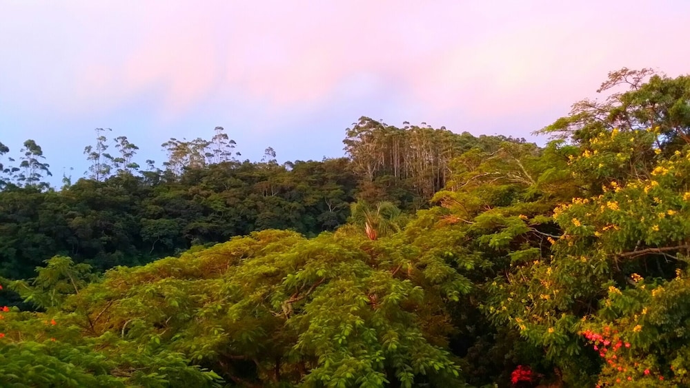 Panoramic Double Room, 1 Bedroom, Private Bathroom, Mountainside photo 3