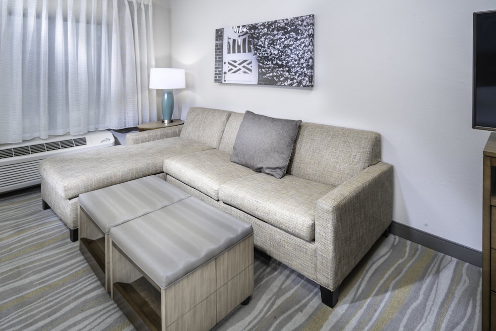 Studio Suite, 1 King Bed with Sofa bed, Accessible, Kitchen (Communications) - Photo 3