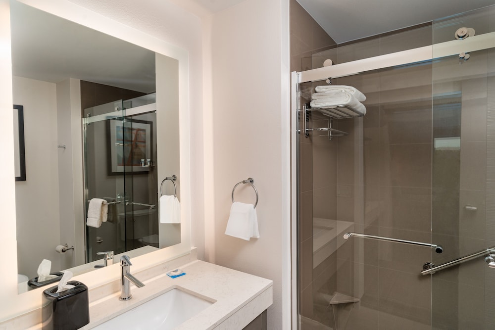 Room, 1 King Bed, Accessible (Shower) - Photo 13