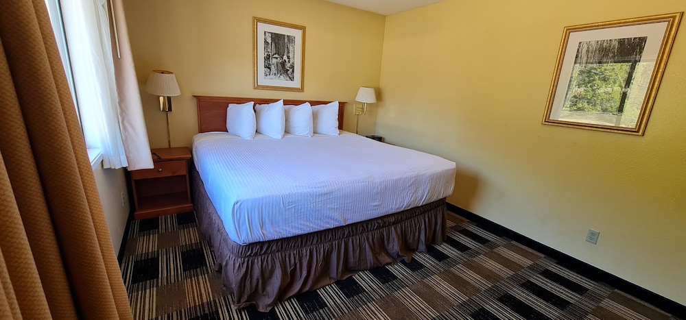Single Room, 1 Bedroom photo 2