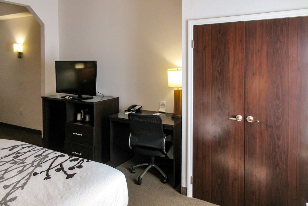 Suite, 1 King Bed with Sofa bed, Accessible, Non Smoking - Photo 8