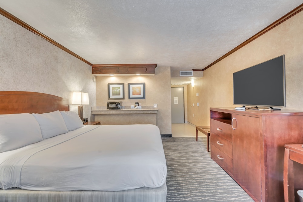 Suite, 1 Bedroom, Non Smoking - Photo 2