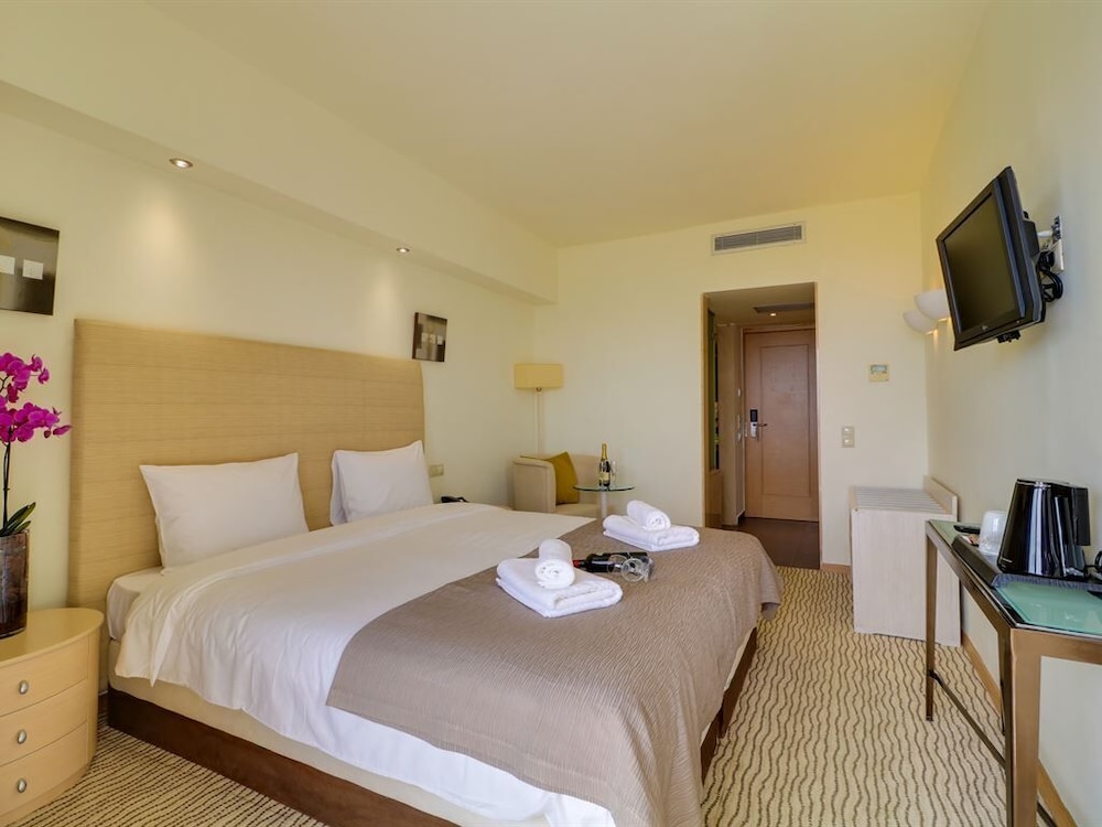 Standard Double Room, Mountain View (Olympus View) photo 1