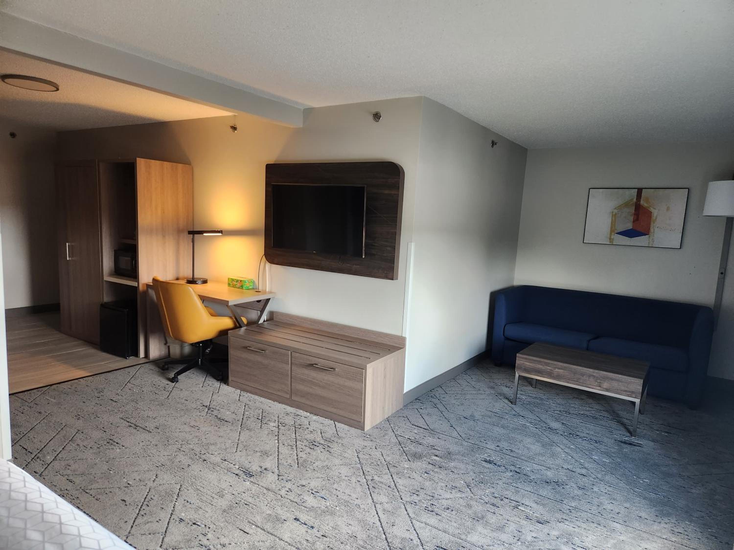 Suite - Mobility Access/Hearing Accessible - Photo 3