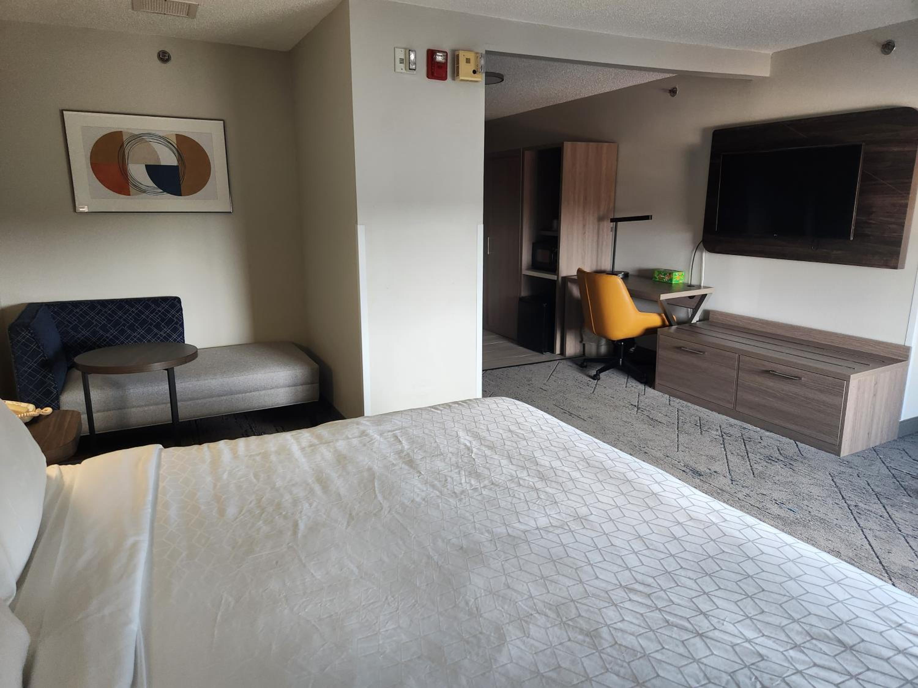 Suite - Mobility Access/Hearing Accessible - Photo 1