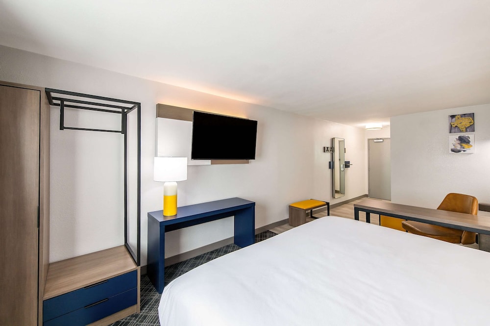 Standard Room, 1 King Bed with Sofa bed, Non Smoking photo 3