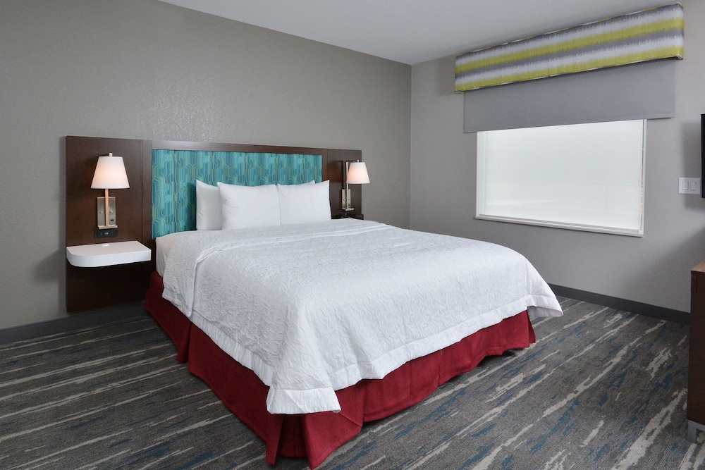 Suite, 1 King Bed, Accessible, Refrigerator & Microwave - Photo 7